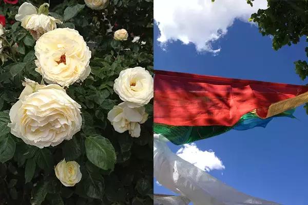 慢游弥河两岸,仙足岛游玩