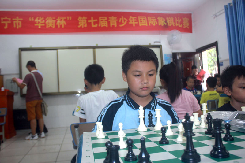 第二届象棋世界棋王赛,广西南宁象棋公开赛