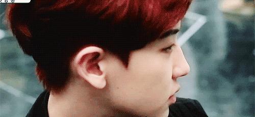 exo有生之年系列,exo你绝对没看过的系列