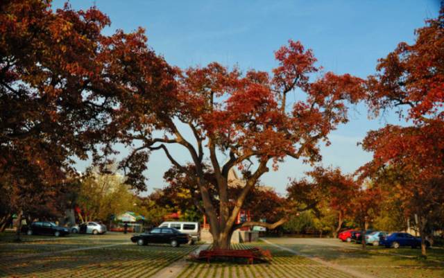 中国城市综合排名五十强兰州,兰州跌出百强城市