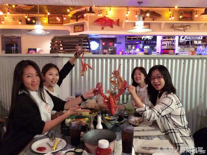 野鹅旅行,野鹅自驾无人区