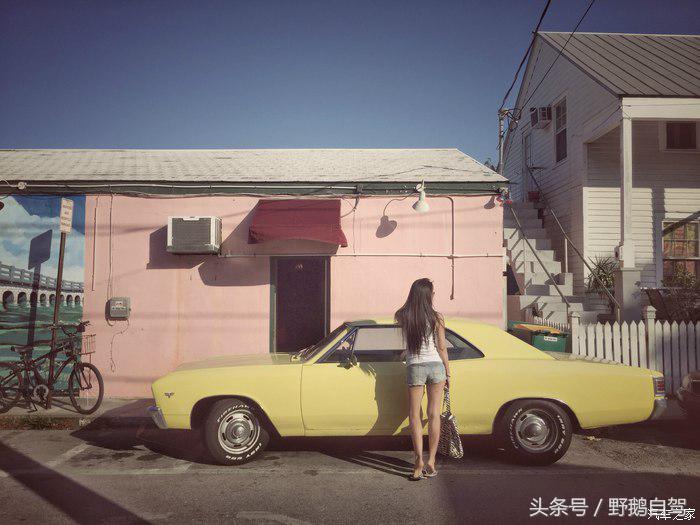 野鹅旅行,野鹅自驾无人区