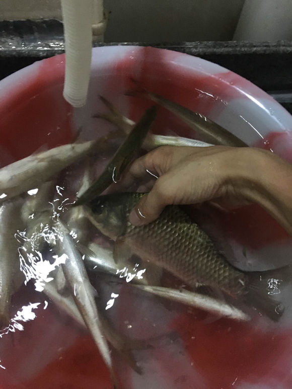 为什么野钓更舒服,为什么野钓要钓底