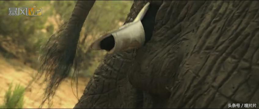 玛德制杖是什么梗,玛德制杖为什么反而变差了