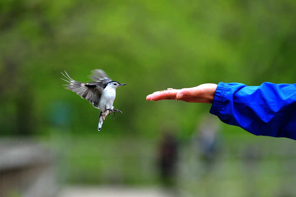 借钱的最佳攻略,借钱绝招