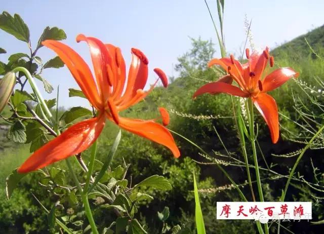 易县蔡家峪风景区有瀑布吗,易县蔡家峪景区人多吗