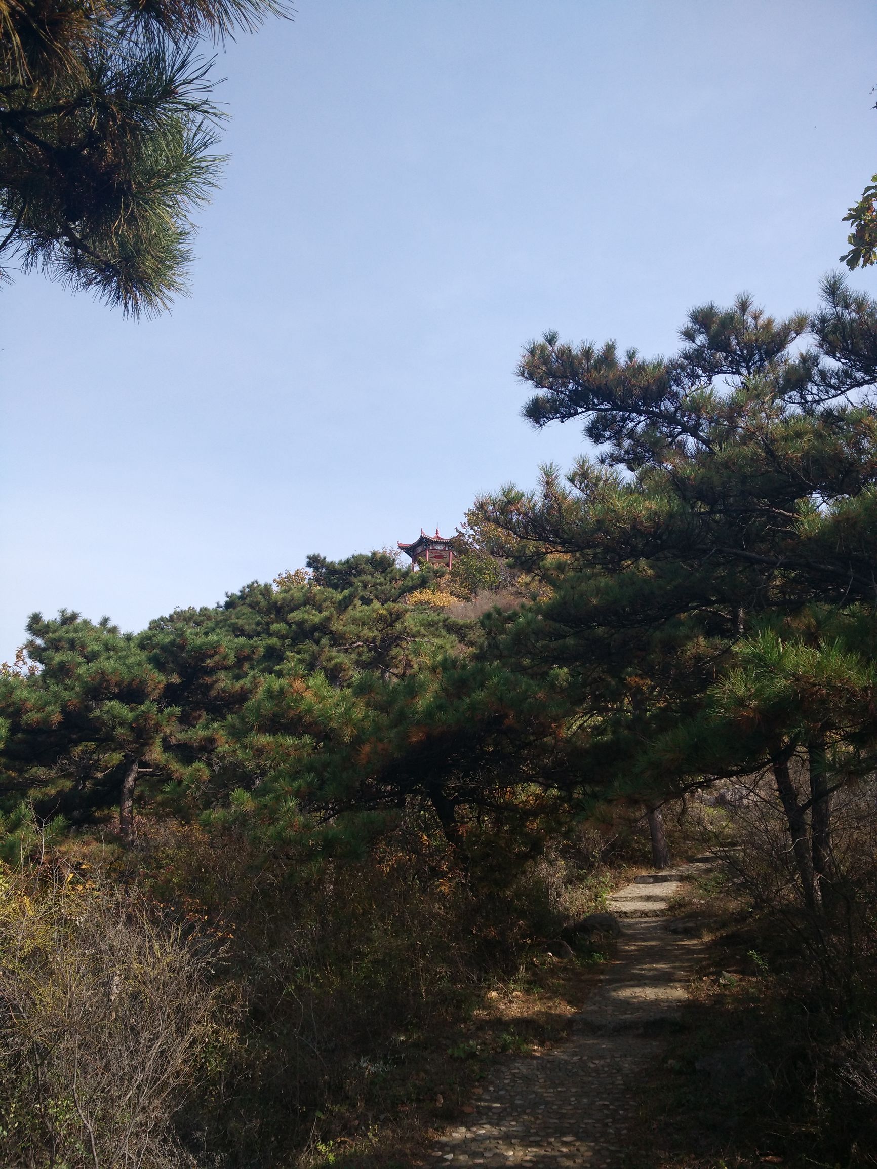 望峪山庄一日游攻略,望峪山
