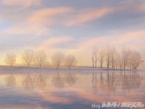 原来门罗煮得是一碗香浓的鸡汤，专治绝望。