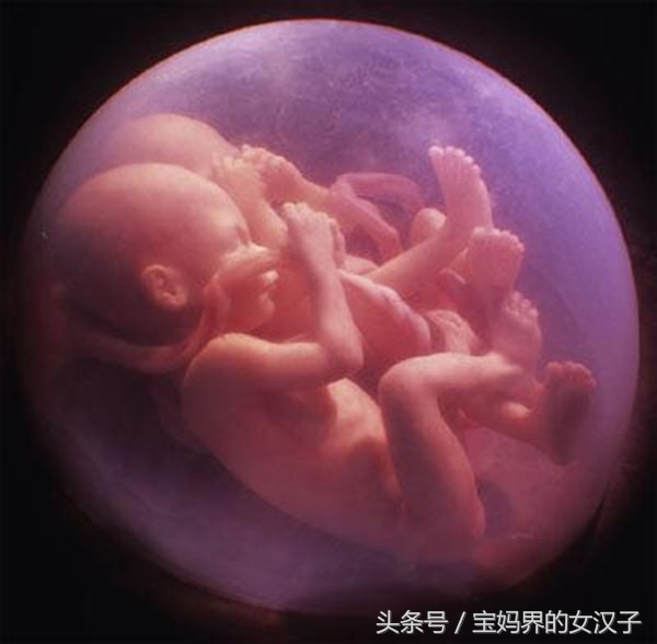 孕中期每天喝多少水羊水才不会少,孕中期为啥羊水会破