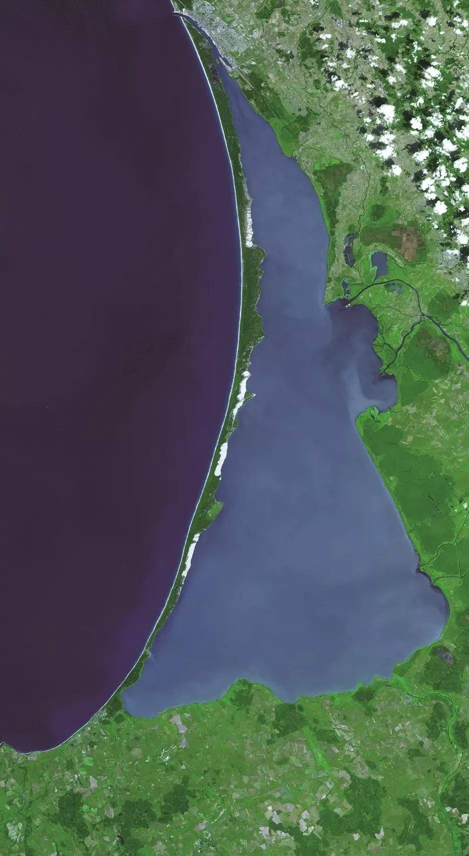 库尔斯沙嘴森林,库尔斯沙嘴对立陶宛的影响