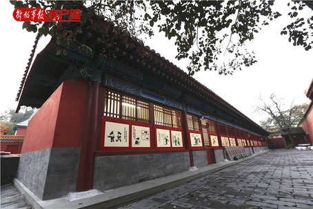 端端带你探秘紫禁卫士之最