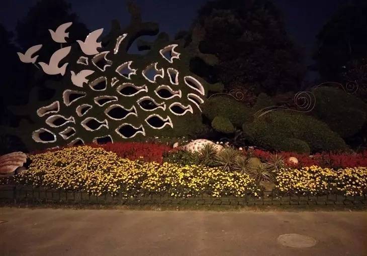 oppor9s值得买吗,oppor9s好用吗