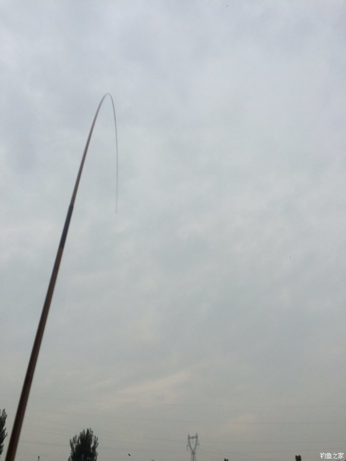 新手，说说几款入门级的鱼竿！