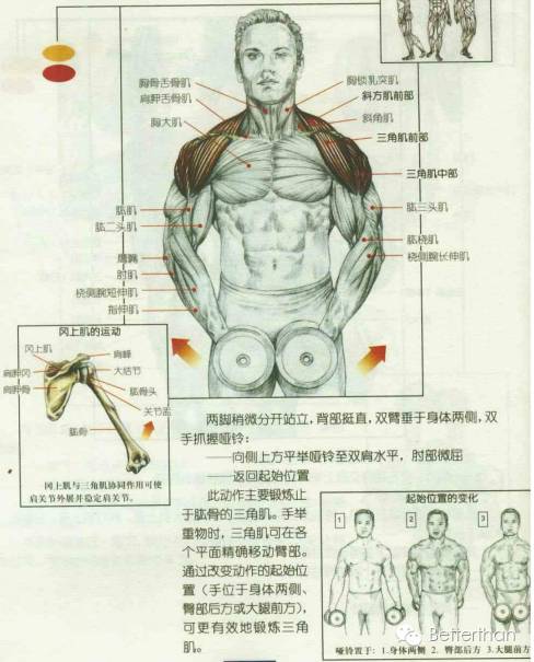 最全哑铃教学,手臂哑铃肌肉训练10个动作图解