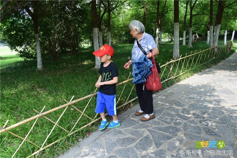 老合肥杏花公园,合肥曾经有两个杏花公园