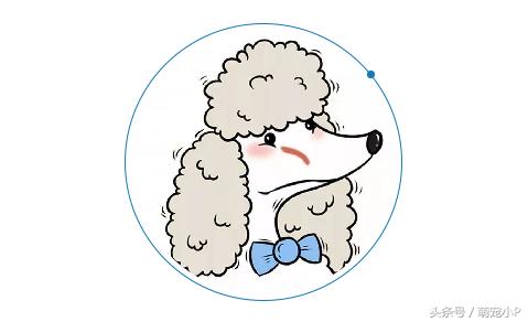 宠物泪痕如何消除,宠物泪痕如何消除省钱