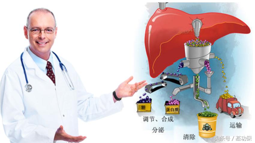 大三阳可以买什么重疾险,大三阳能投保重疾险吗