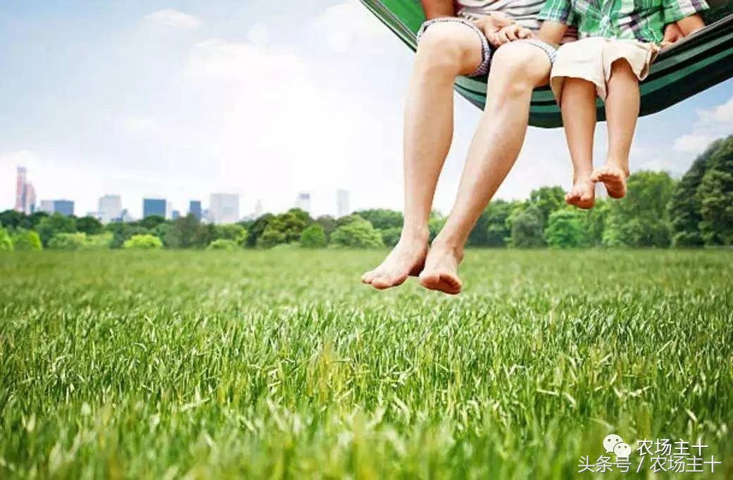 成功的休闲农庄需要具备哪些条件,做休闲农庄必须考虑的几个问题