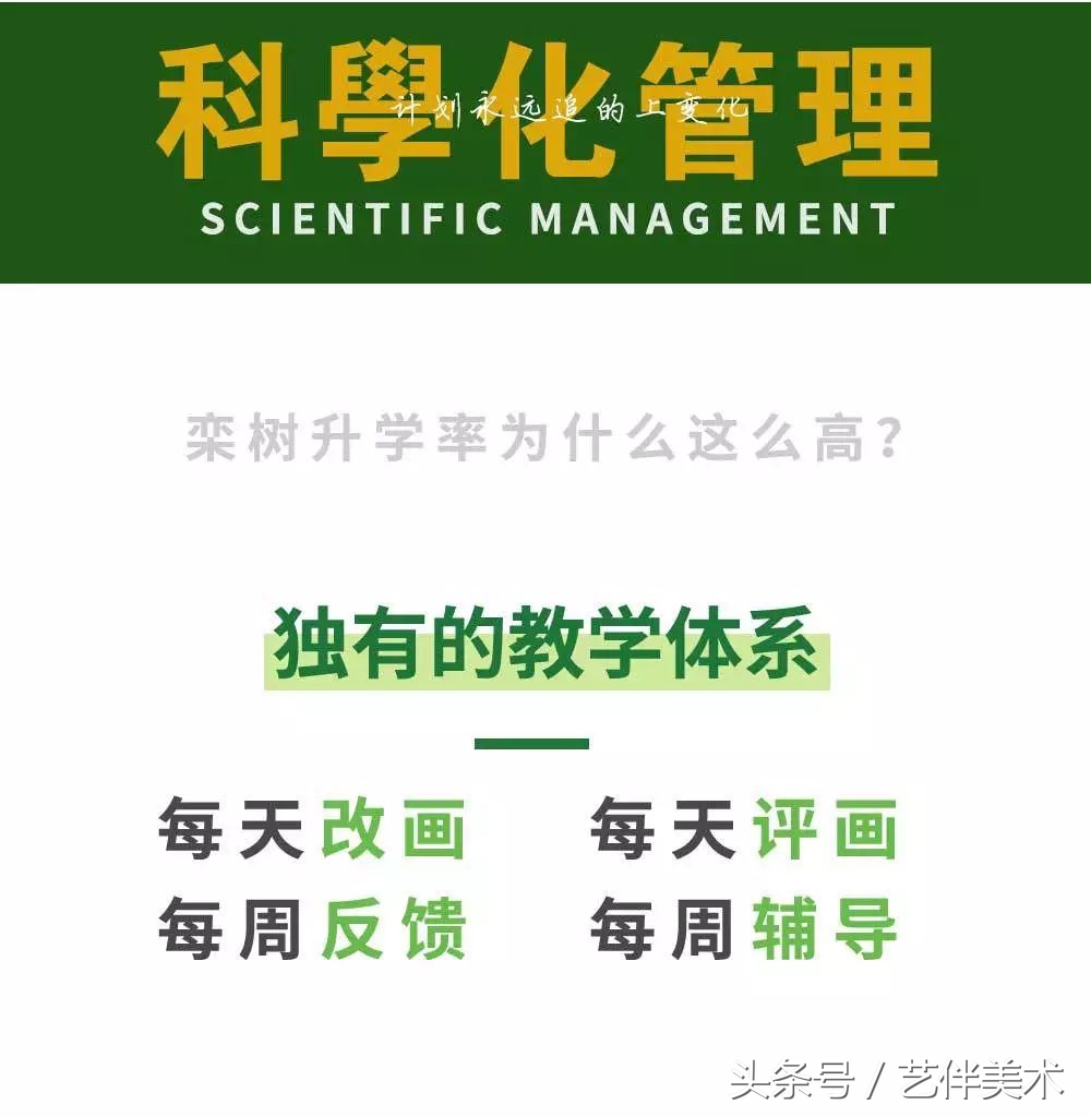 栾树画室北京,栾树画室