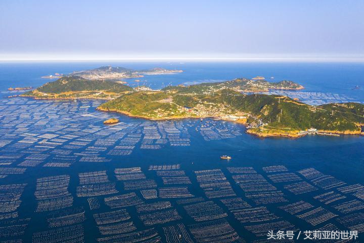 生活不止杯中的枸杞还有诗和远方 (生活不止有诗和远方 还有枸杞)