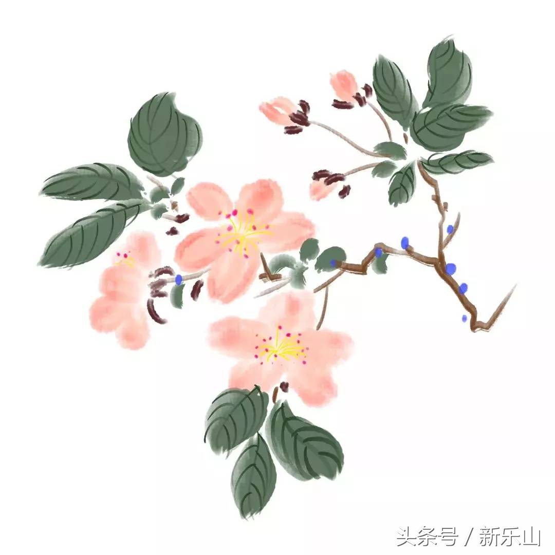 四川乐山最美的春天,乐山的春天有多美