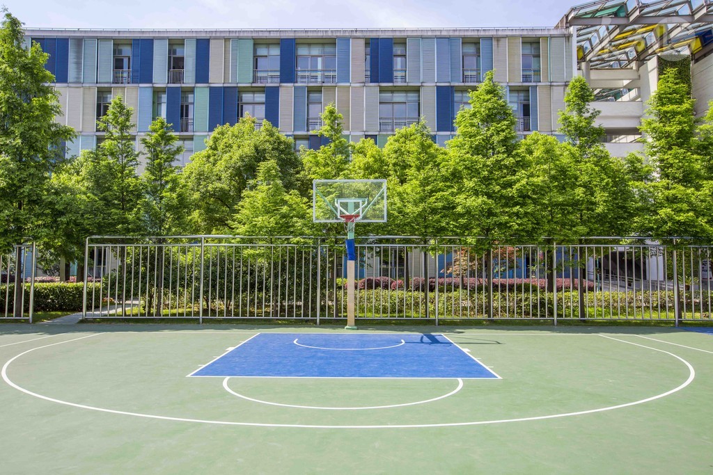 小说：她们这是都商量好了吗，怎么前后脚全都一起来了，好头疼