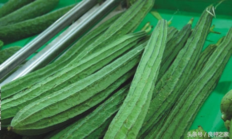 餐桌上常见的本土作物是什么,10种常见的粮食作物