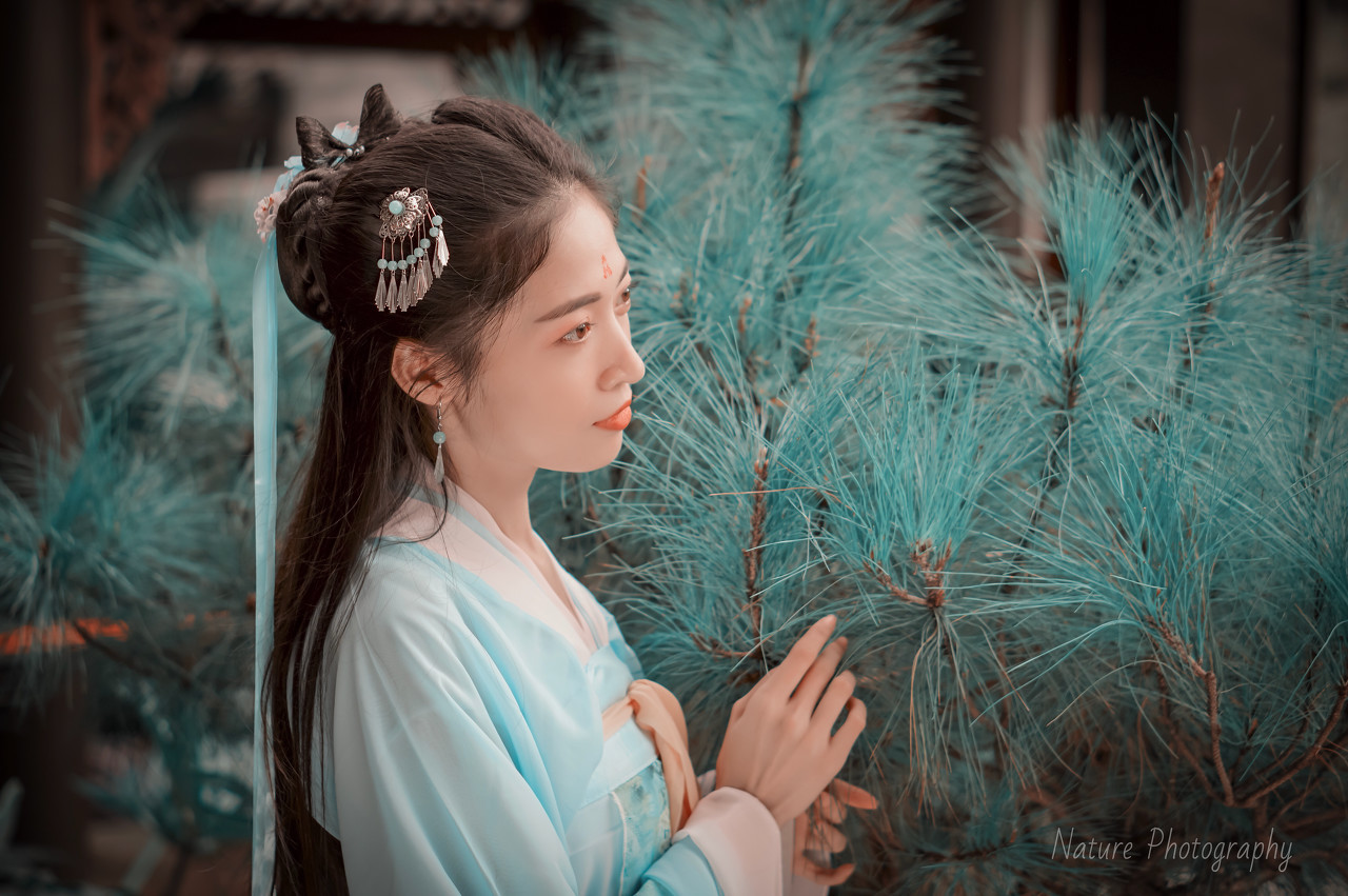 小说：佣兵团误入鬼城迷宫，众人沉迷武功秘籍，只有小伙大叫快逃