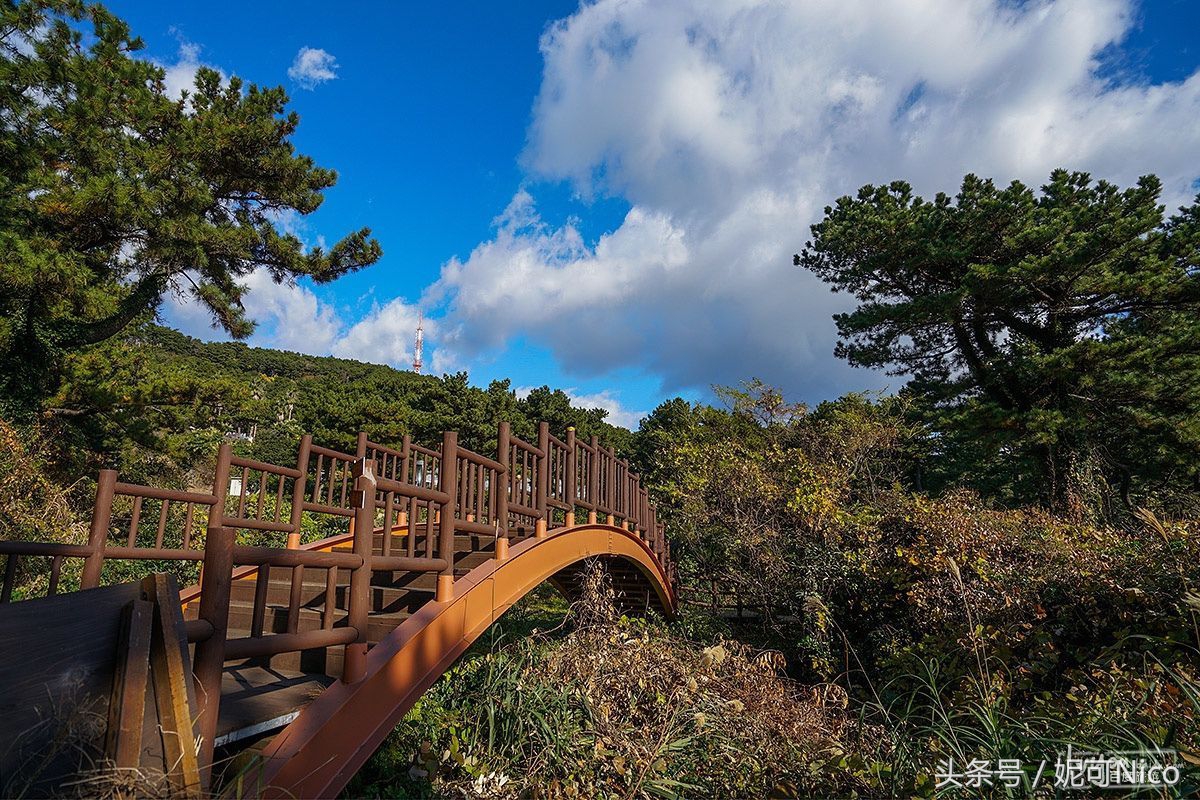 韩国济州岛3天旅游景点,旅游去济州岛值得吗
