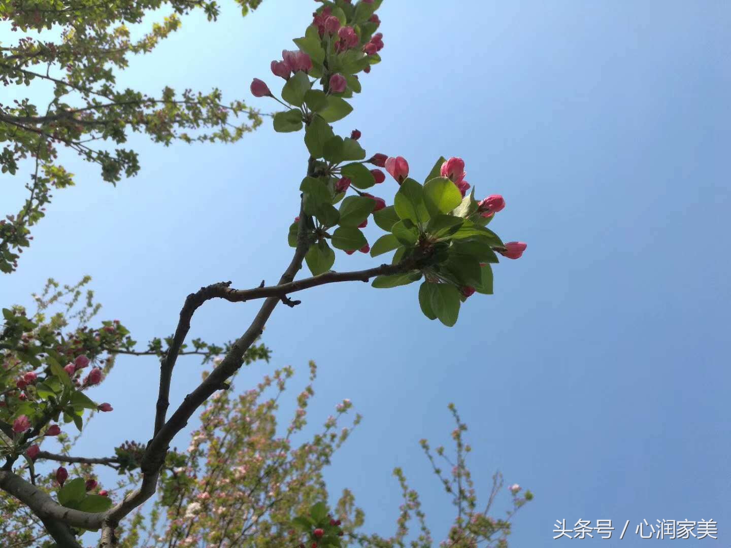 求助心理咨询视频,心理求助咨询什么电话