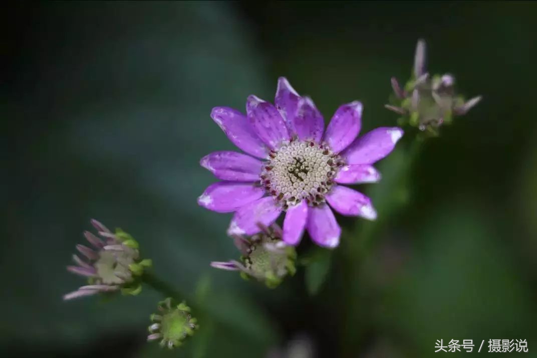 nisi耐司滤镜,nisi耐司滤镜钻石版