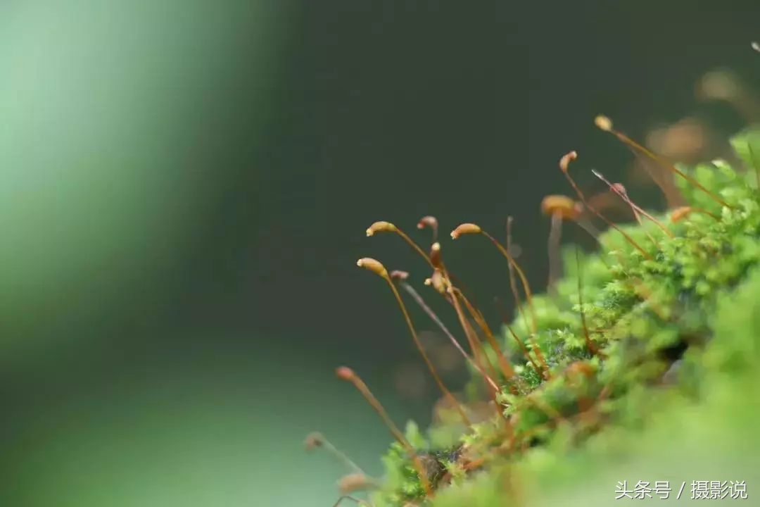 nisi近摄镜使用方法视频,nisi耐司滤镜