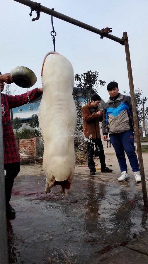 疫情也挡不住游子归家的心,疫情也挡不住吃货的心