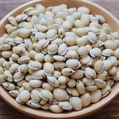 药食同源祛湿食材,药食同源夏日消暑汤品