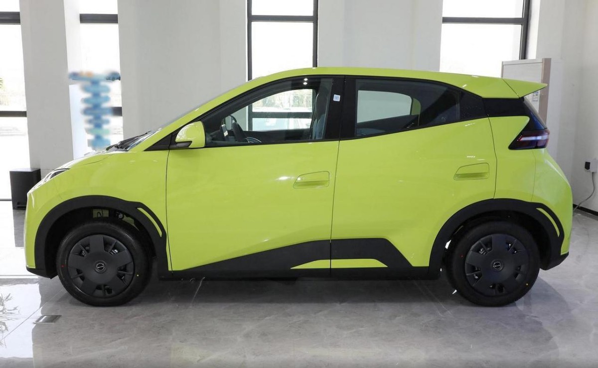 新能源海豚汽车最低成交价,纯电动车最新销量排名