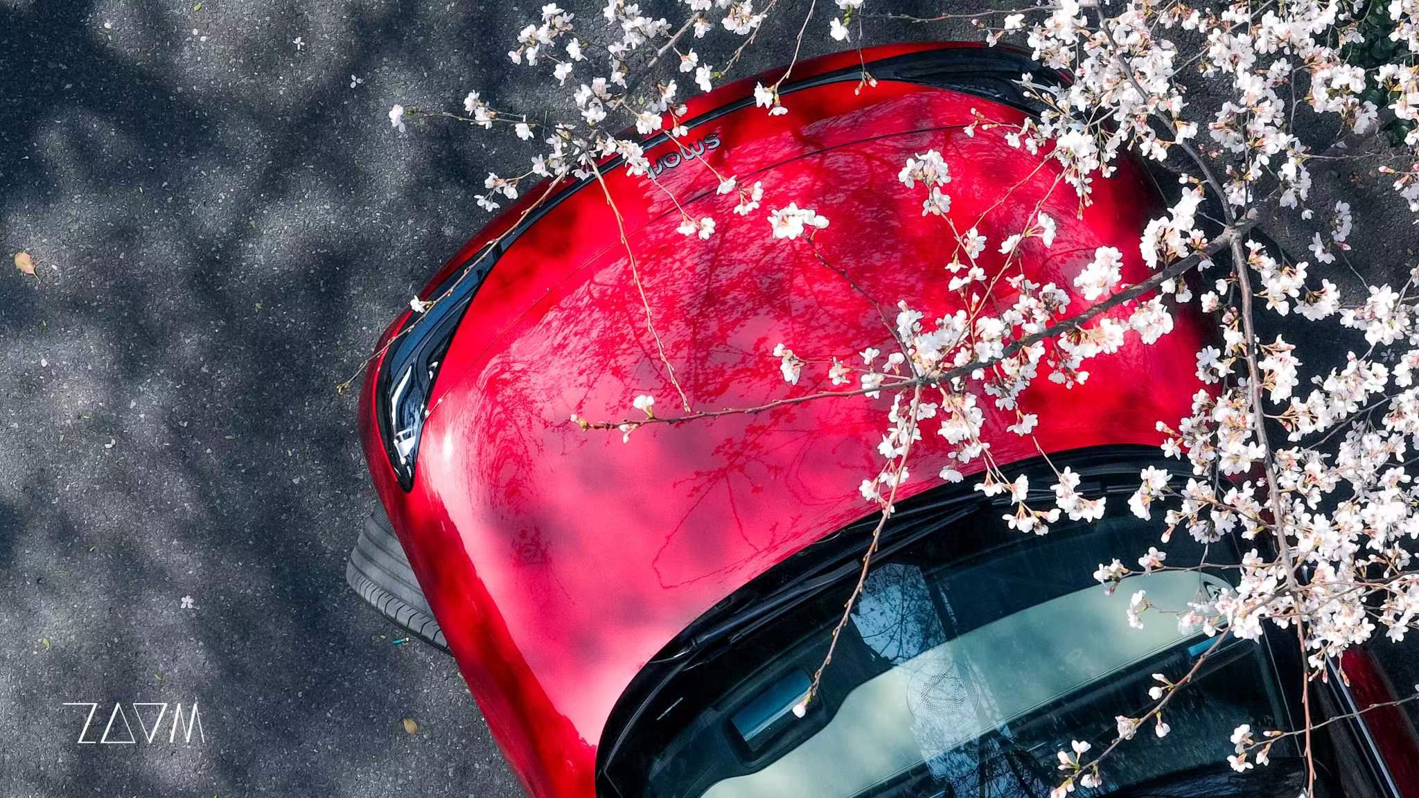 smart精灵1号用车感受,精灵smart舒适性