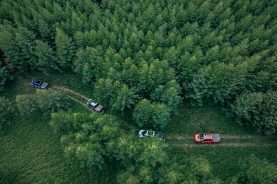 福特f-1502019款3.5t猛禽性能劲化版,全新福特f-150猛禽中规评测