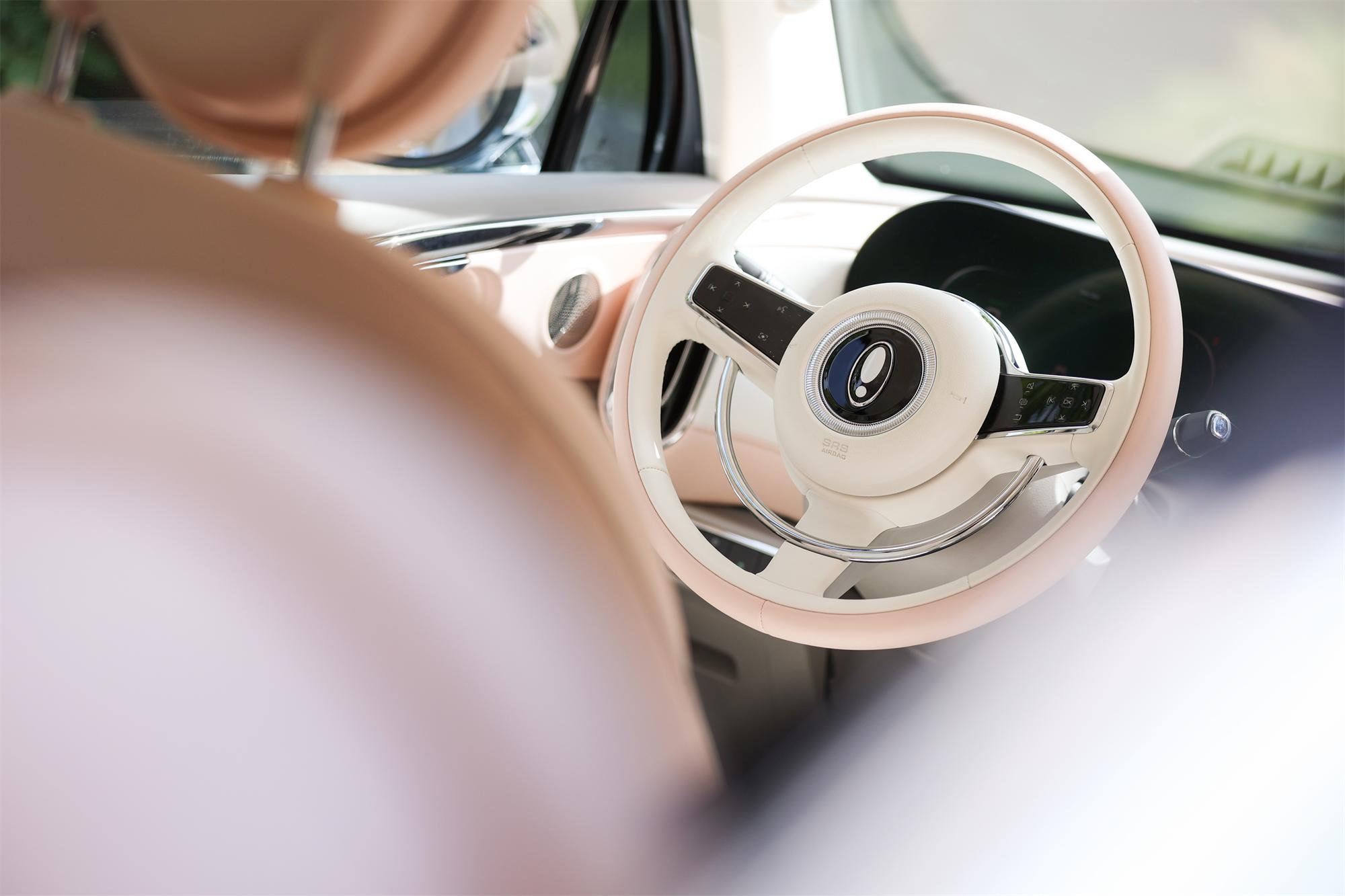 欧拉芭蕾猫值不值得买,欧拉芭蕾猫的缺点和不足