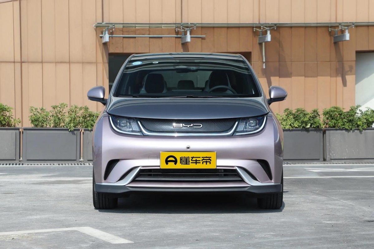 10万预算比亚迪海豚怎么样,海豚比亚迪2022款自由版落地价