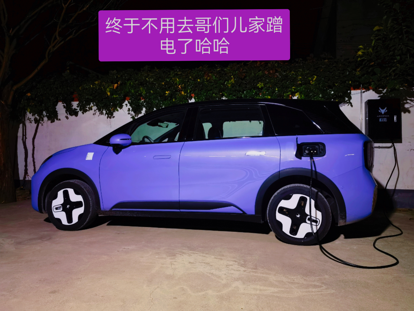 极狐考拉差评到什么程度,极狐考拉为什么不建议买