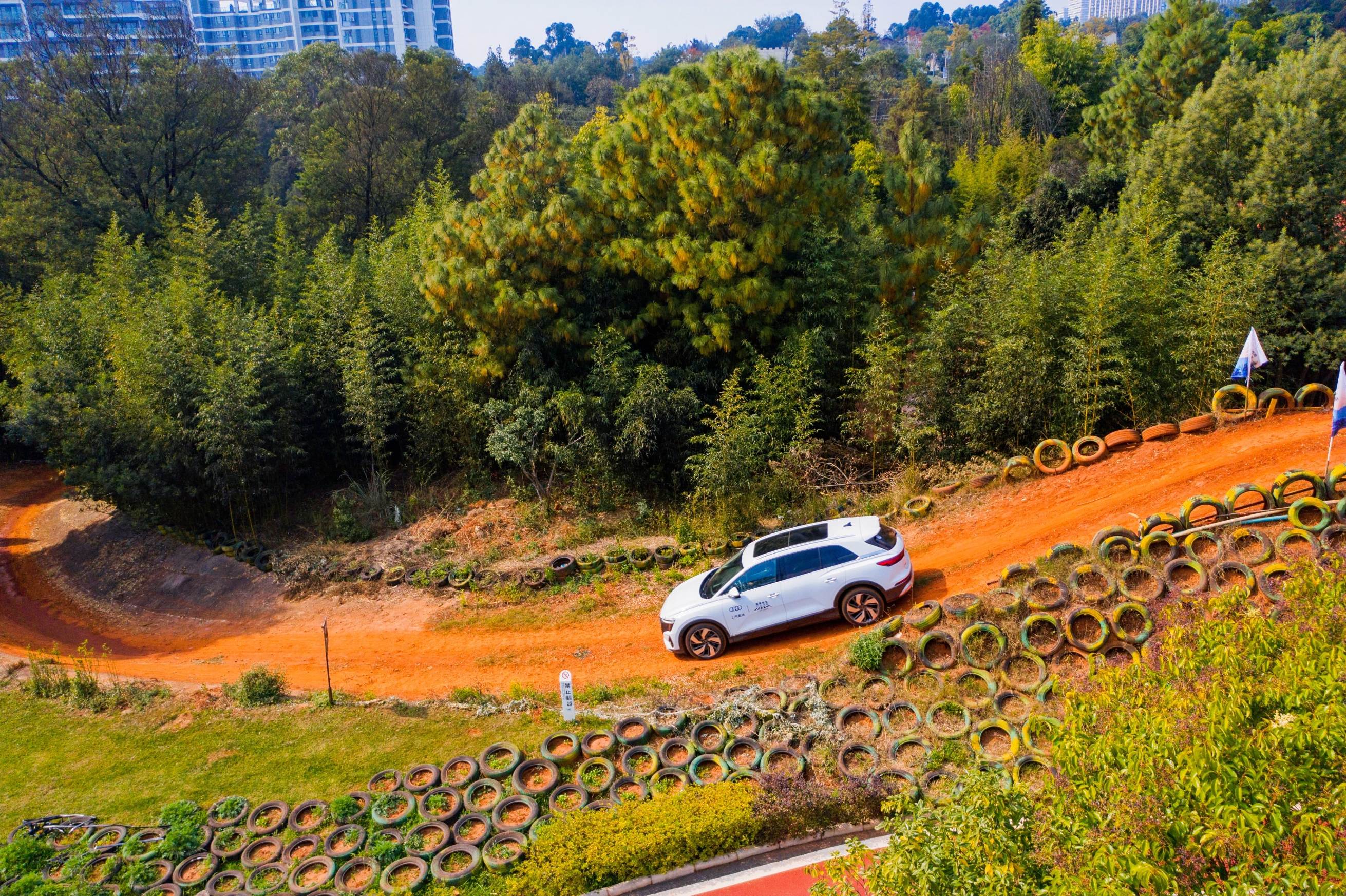 鐩婅,鐩婅鍏泭瀛靛寲