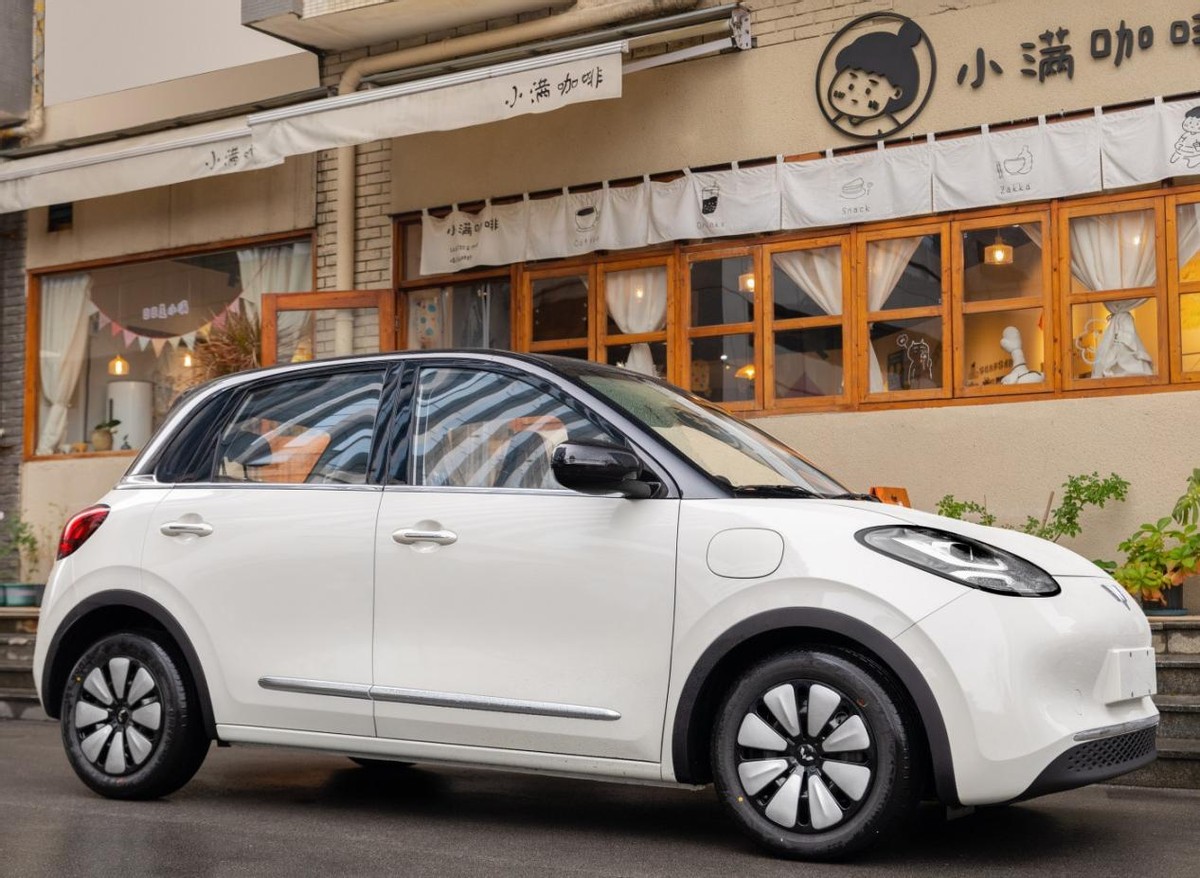 比亚迪海豚纯电动车有哪些,五菱缤果跟比亚迪海豚哪个好