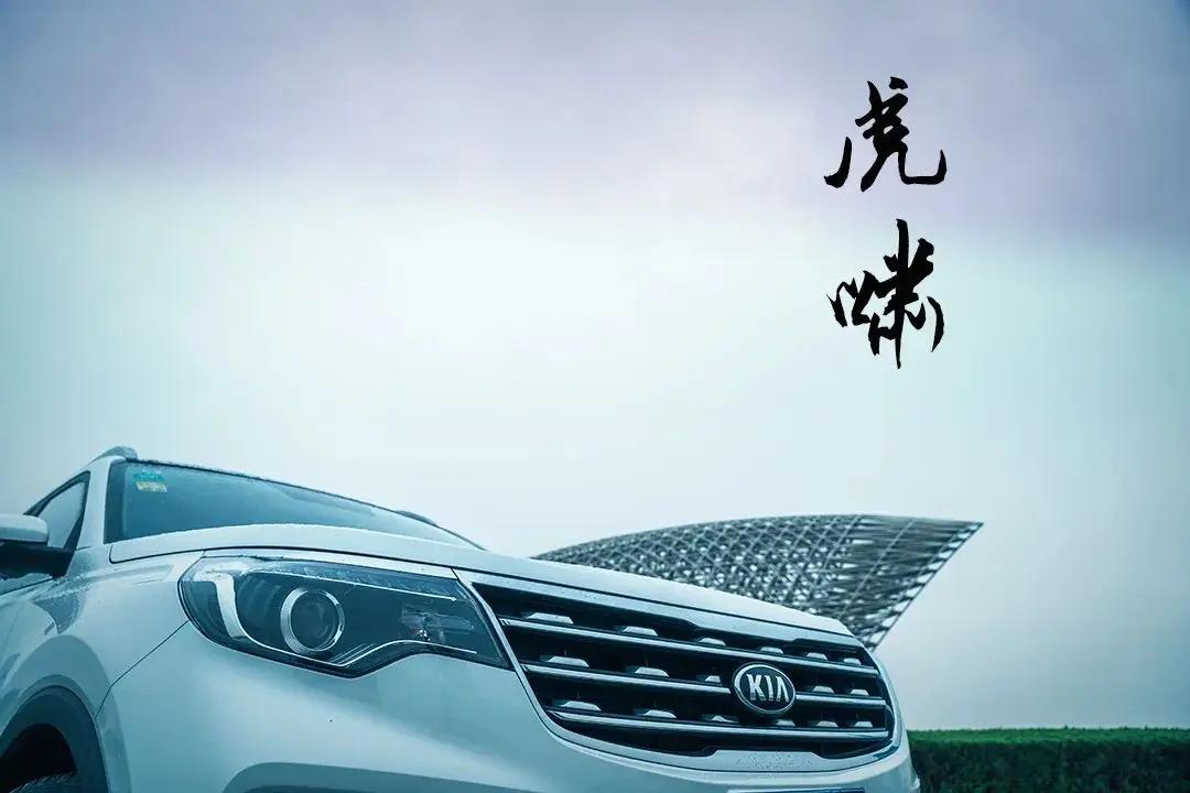 自主紧凑型车价格,自主品牌哪些车可以买