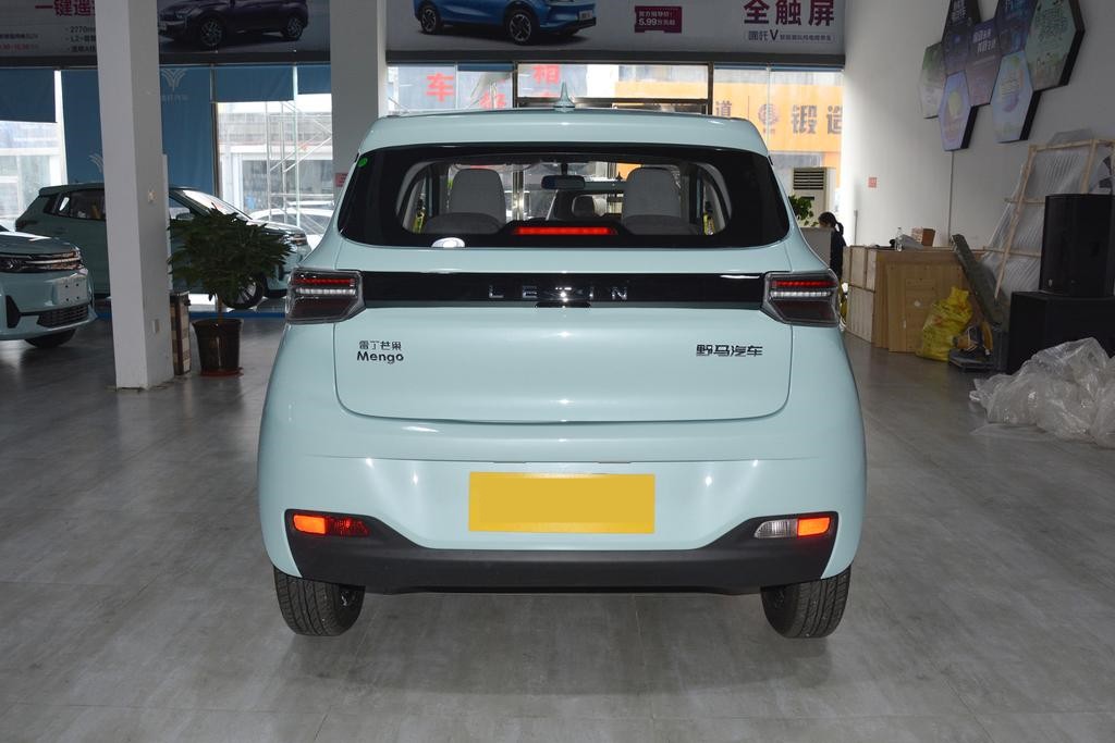 雷丁芒果新款车上市,雷丁芒果2022款续航200公里多少钱