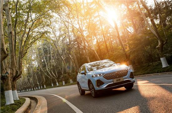 科技平权触手可及,科技平权是什么