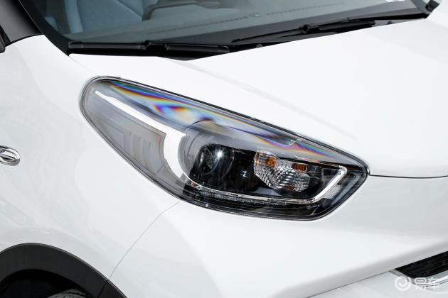 19年小蚂蚁还能跑多远,小蚂蚁从哪里来为什么越来越多