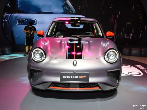 小姐姐的小猫咪,可爱的小野猫小姐姐