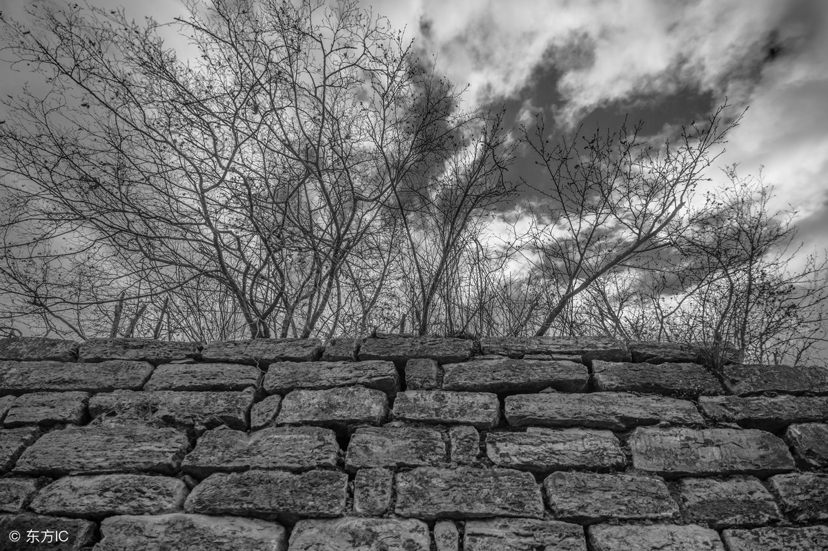 地下党员入狱,地下党受尽严刑