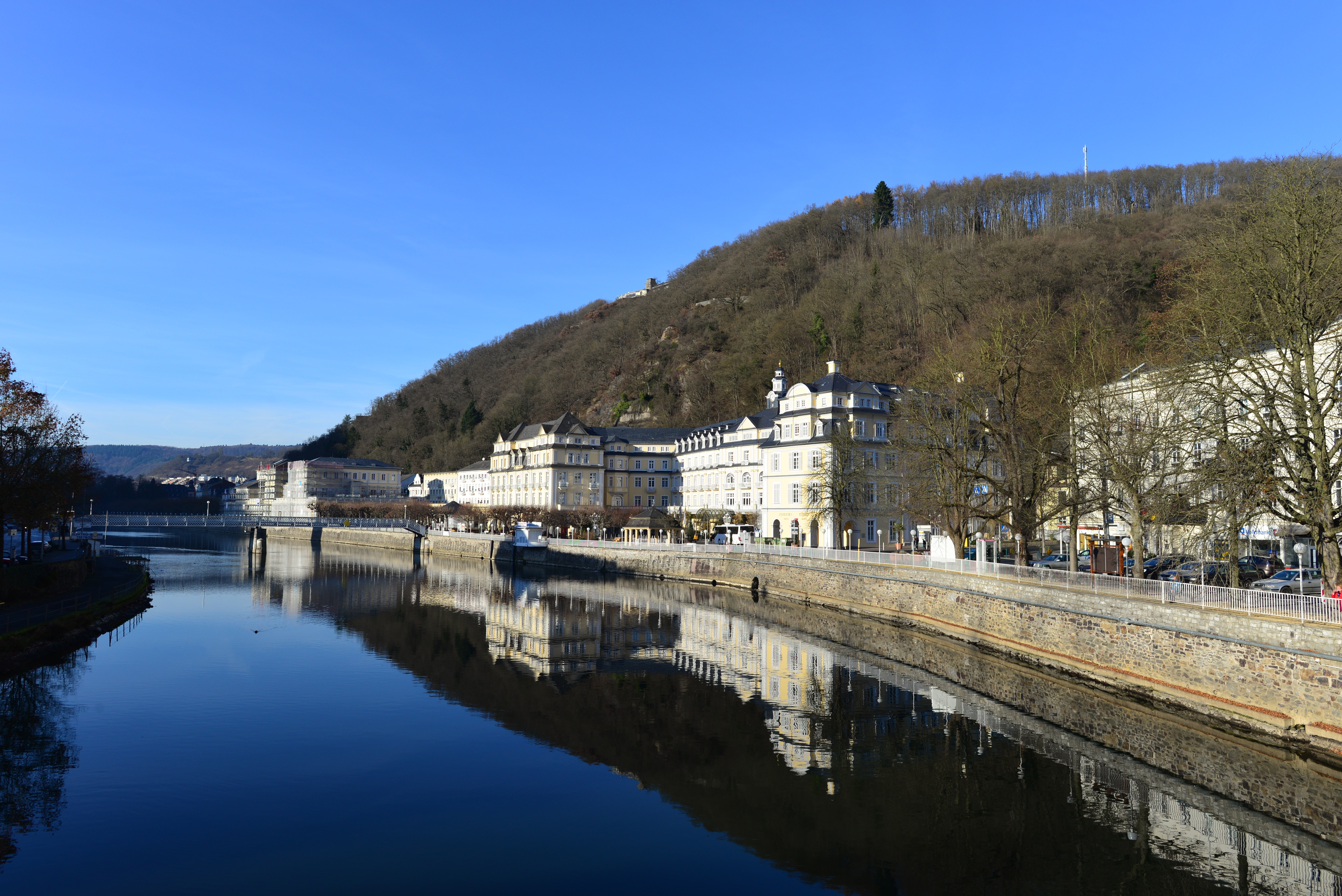 废弃工厂将污水排入河流，不料导致整个森林的树木都长出“铁锈”