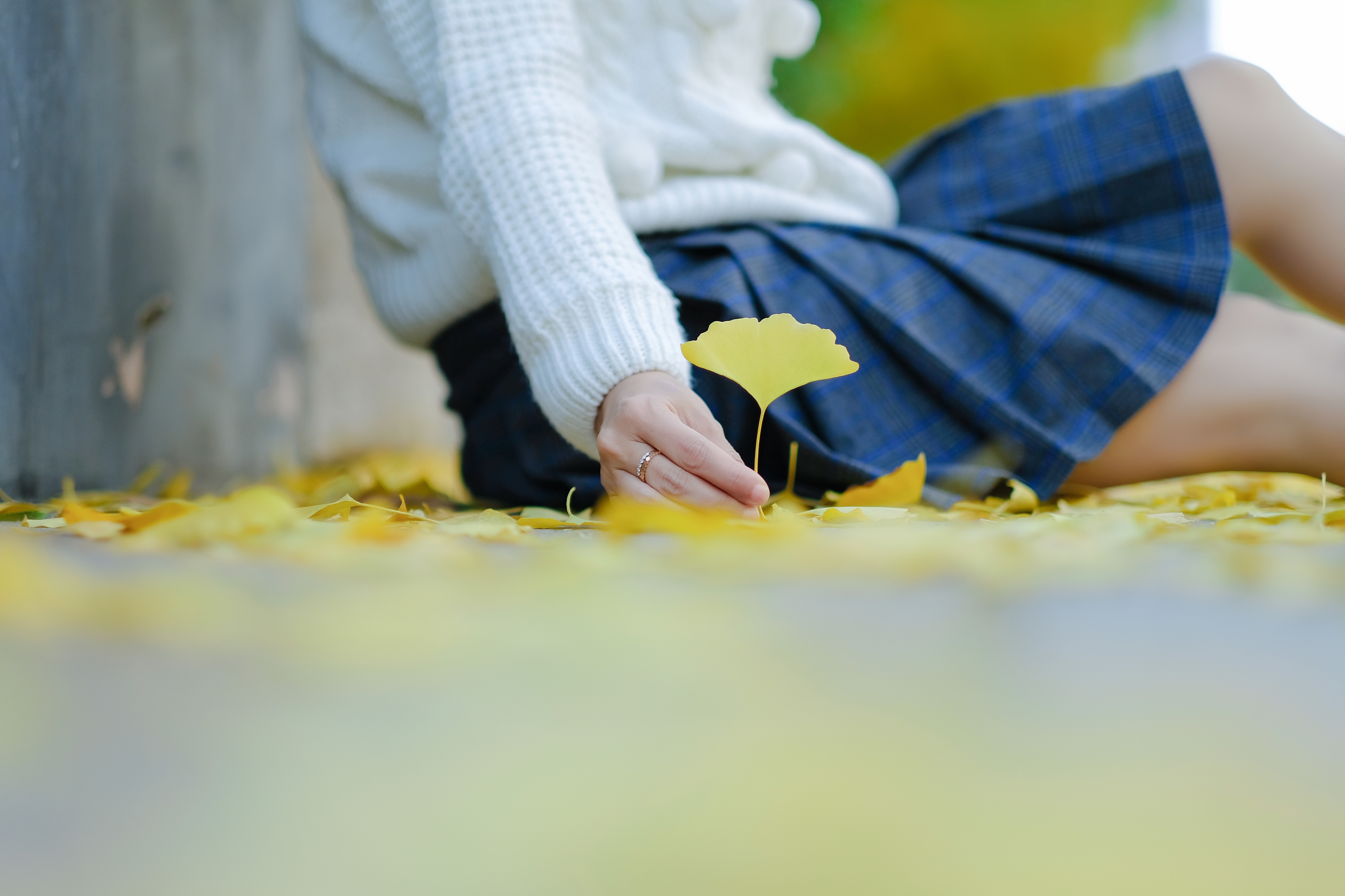 姑苏地图高清版大图,苏州手绘风景图